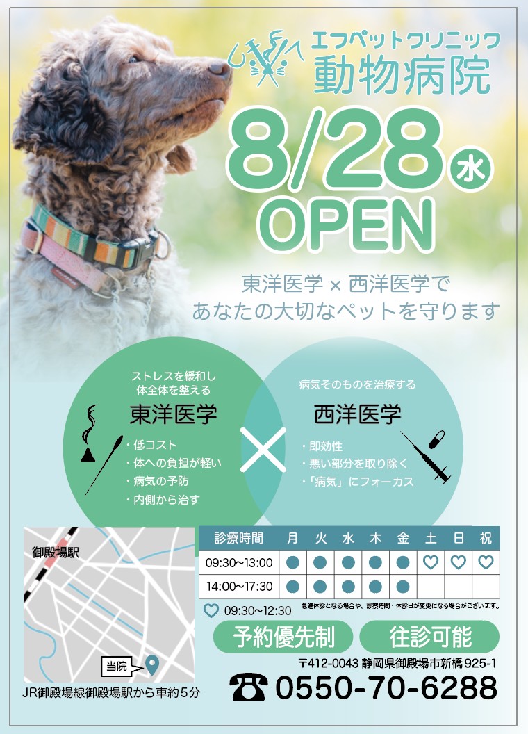 動物病院チラシ